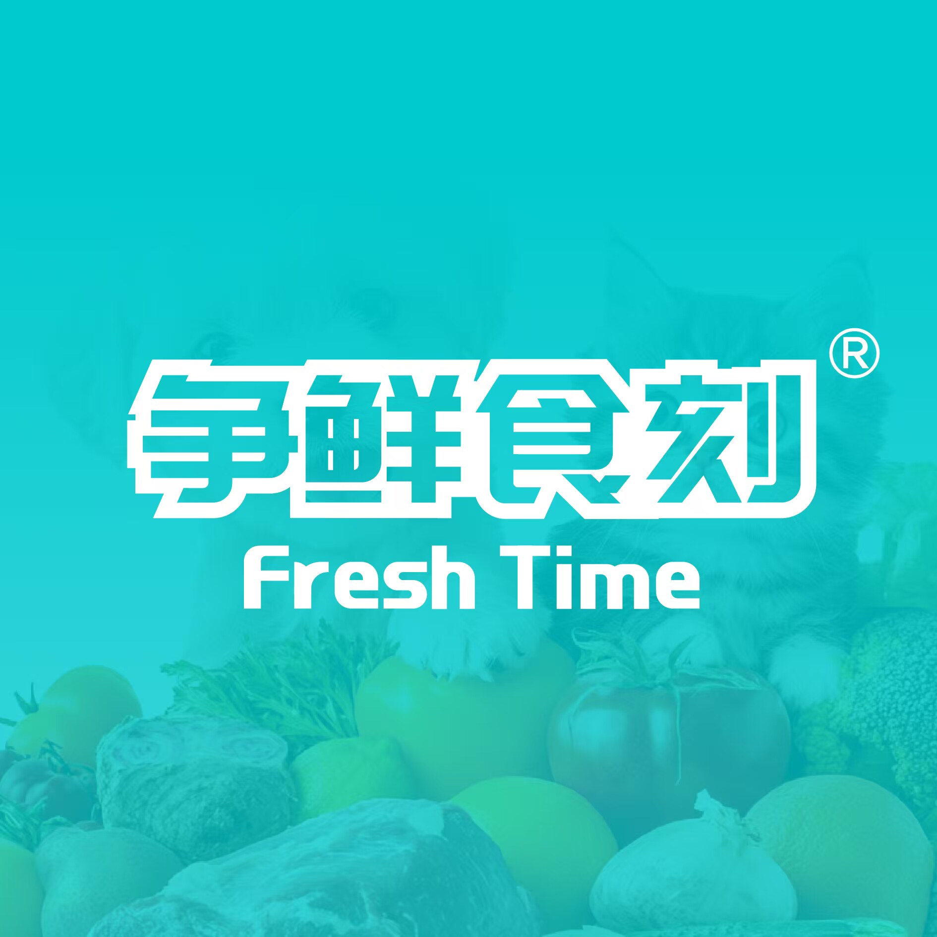 争鲜食刻宠物食品企业店的LOGO