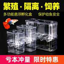 Fish tank isolation box Peacock fish propagation box theorizer small fry hatching mother fish acrylic young fish anchovies incl.
