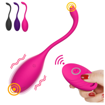 Bullet Vibrator Wireless Remote Control Vibrating Eggs Power