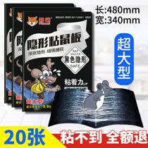 Sticky Rat Board Powerful adhesive Large Mouse King mid-King Invisible Sticky Rat Board Indoor rat-in-rat Mice God of the Kings Stars Big Old