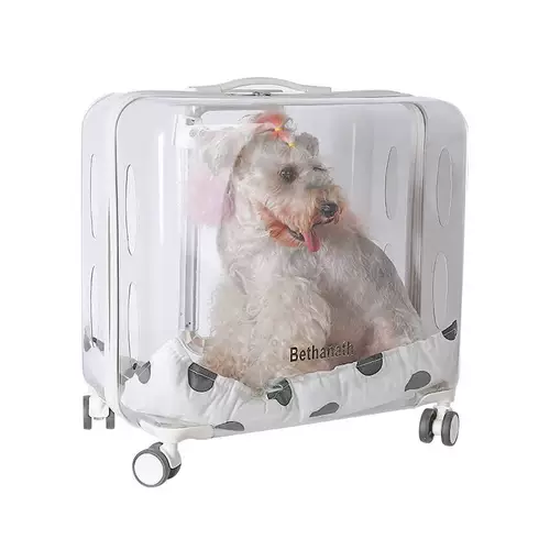 Портативный чемодан для выхода на улицу, вместительный и большой космический рюкзак, барсетка