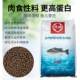 ແທ້ຈິງ Tongwei California bass 48 ທາດໂປຼຕີນສູງ koi ປາອາຫານ 8901 ການລ້ຽງສັດນ້ໍາຊີ້ນການຂະຫຍາຍຕົວອາຫານປາລອຍ