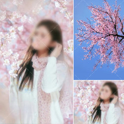 2025 New Natural Landscape Spring Spring Blossom Blossom Blossom Studio Wedding Photography 어린이 사진 배경 천 입 실내 소녀 사진 매거진 종이 분홍색 꽃 분기 일본식 MH-2285