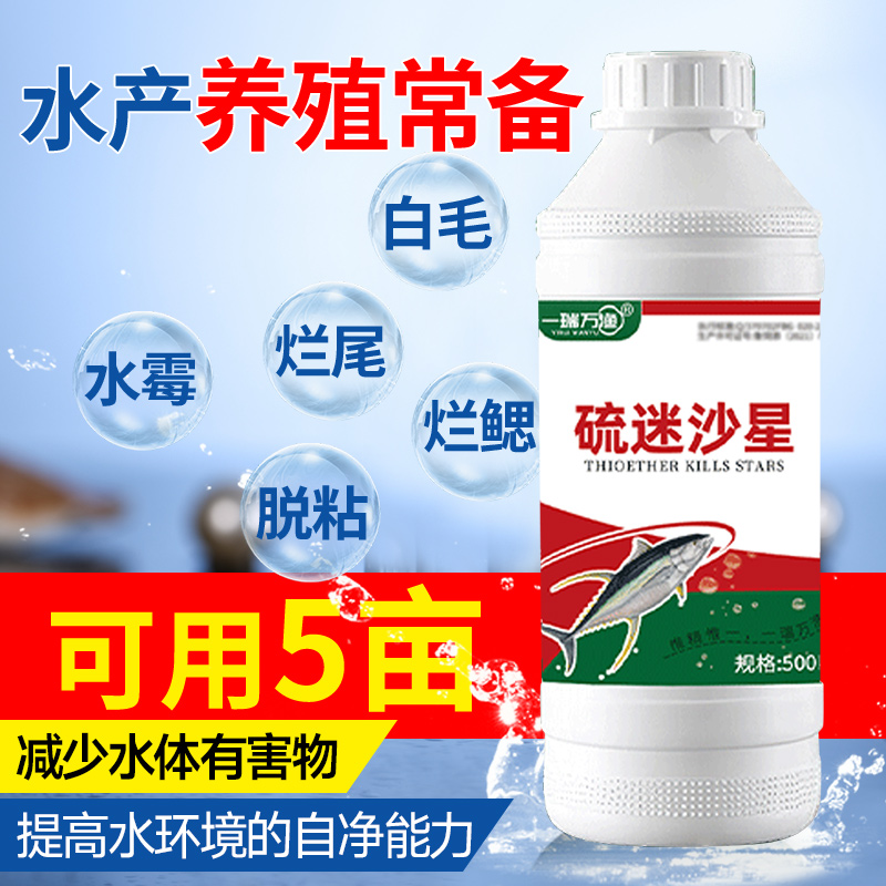 水产养殖必知：专治鱼塘烂身烂尾水霉病的万能鱼药大揭秘！
