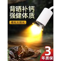 Turtle basking lamp heating insulation lamp UVA UVB sun lamp climbing pet heating turtle tank lamp insulation calcium supplement sterilization