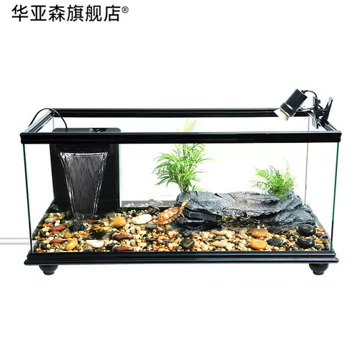 Танк с большим дном дренажными черепахами с солнечным стол.