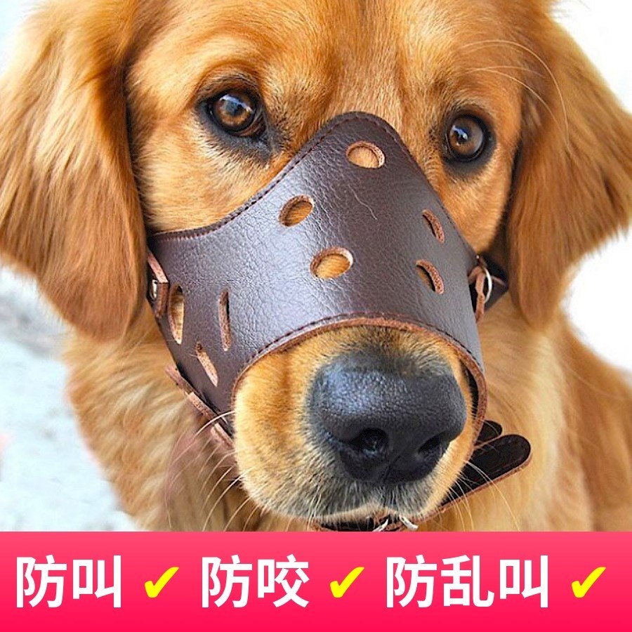 Soft Plastic Universal Dog Cage Mouth Cover Golden Hair Large Pooch Dog Mouth Cover Drinking Water Mouth Hood Mesh Protective Mouth Puppies Mound
