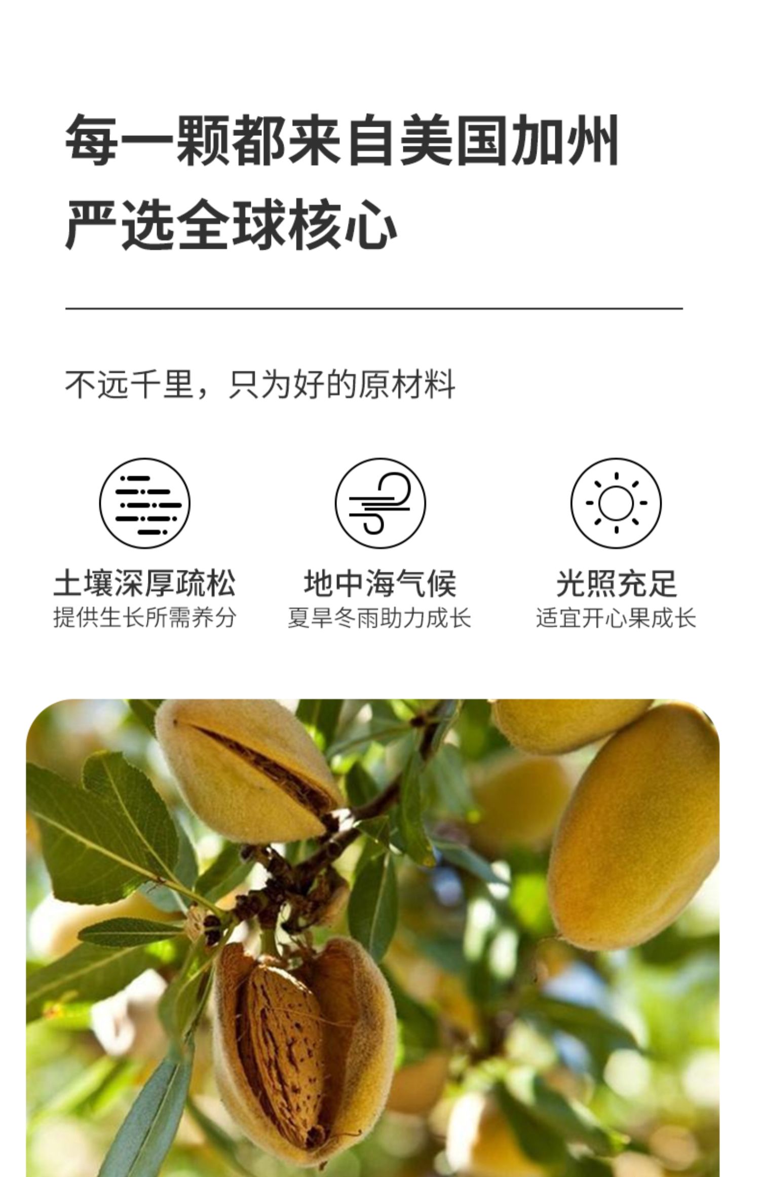 阿吧干果手剥巴旦木仁大颗粒零食坚果