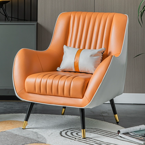 Дизайнерский диван для спальни для отдыха, популярно в интернете, наука и технология, тигр