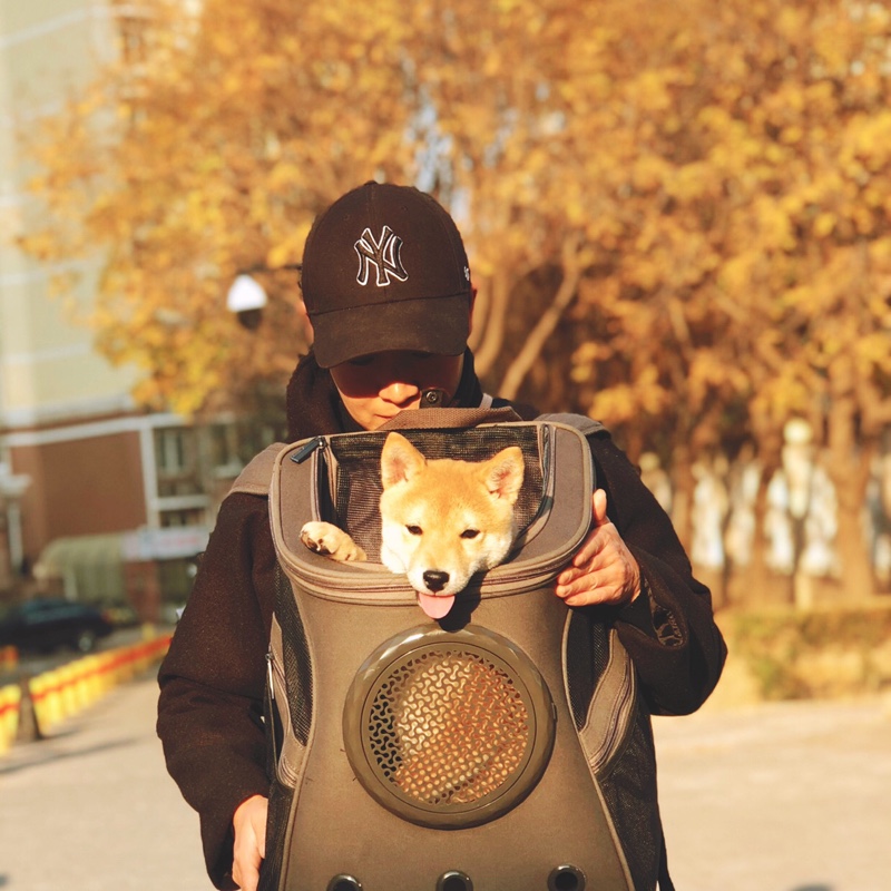 Dogs go out backpack shoulders take away dog ​​school bag cat bag portable space capsule pet packaging Teddy Corgi large