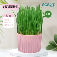 Набор коробочек для порошка кошачьей травы [содержит 5 пакетов семян]