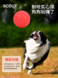 Той шарик для собак, кусая сплошные эластичные шарико