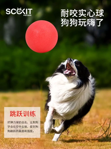 Той шарик для собак, кусая сплошные эластичные шарико