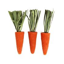 Hamster molar stick edible carrot snacks golden bear food special rabbit daily necessities