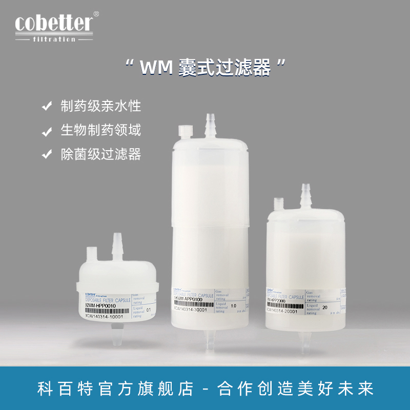 Kebite Wm Cartridge Filter in the Biopharmaceutical Field, Pharmaceutical-Grade Hydrophilic Sterilization-Grade Filter Kebite Wm Cartridge Filter in the Biopharmaceutical Field, Pharmaceutical-Grade Hydrophilic Sterilization-Grade Filter