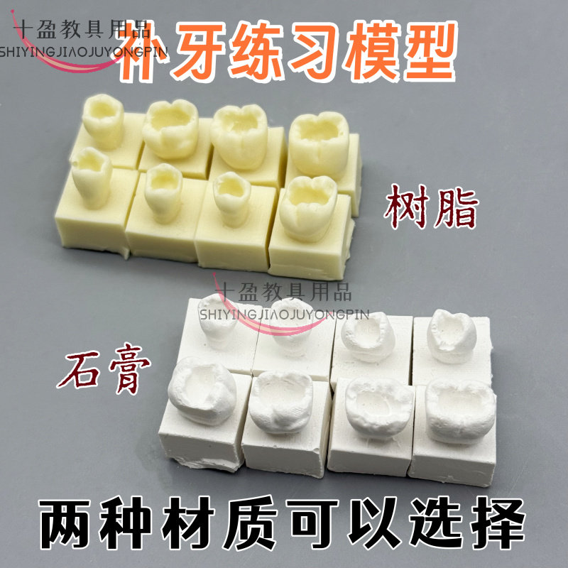 牙科口腔树脂充填练习模型牙齿形态堆塑练习模型前牙后牙模型