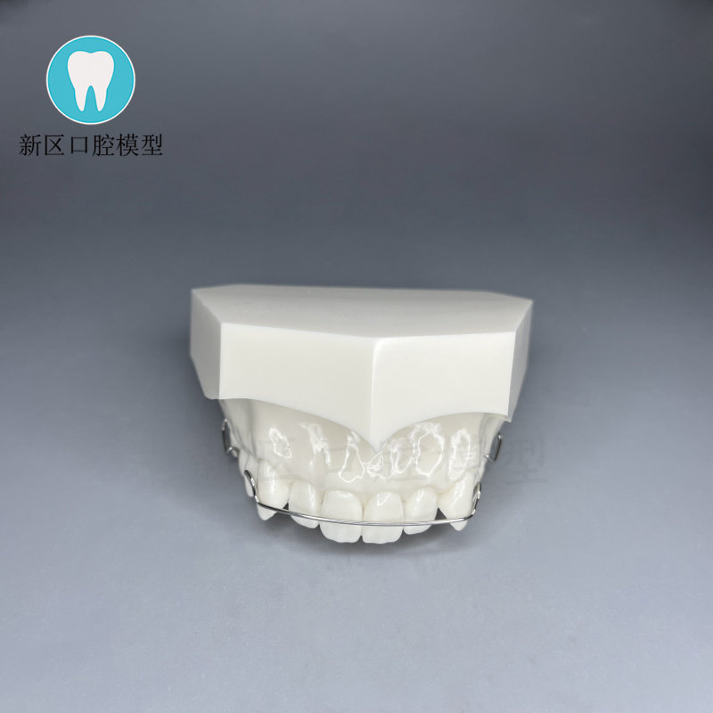 医用牙科 上颌半口保持器模型 白色牙齿模型医患沟通模型 包邮