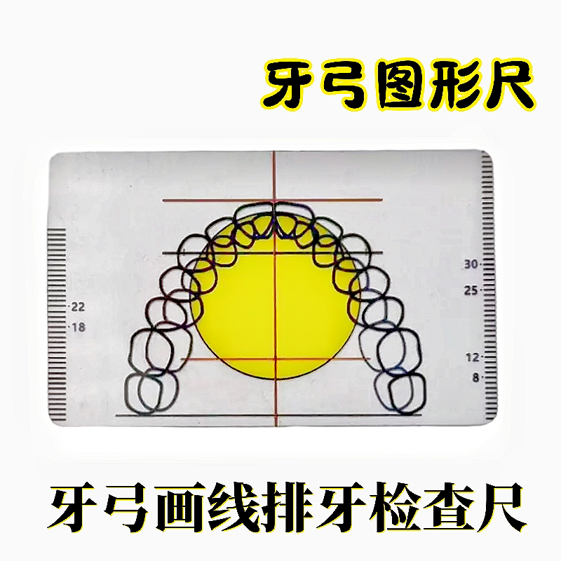 排牙尺全口模型分析全口画线排牙板排牙参考排牙测量测量尺