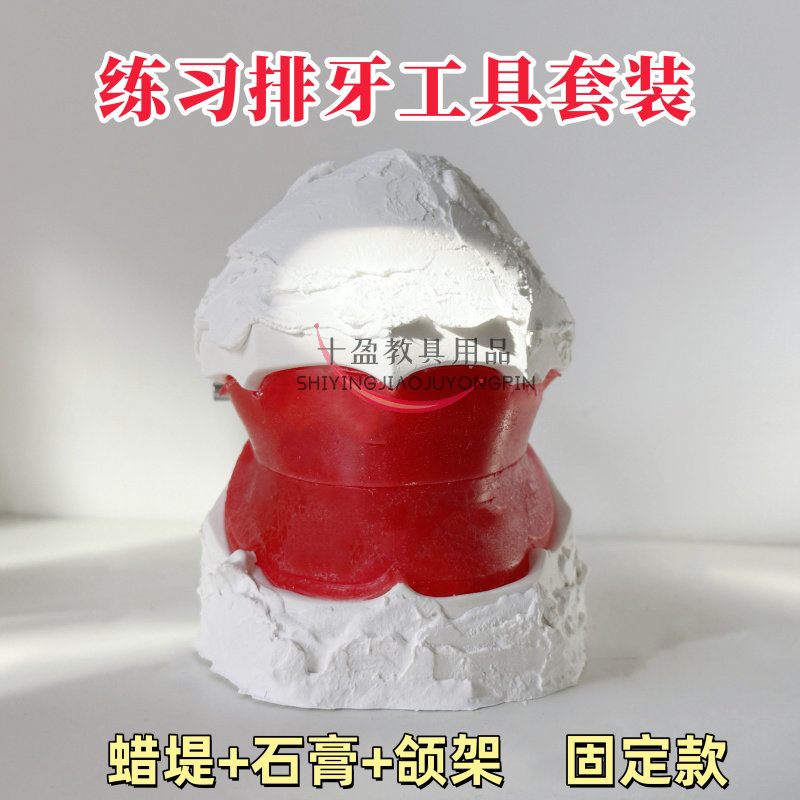 牙科学生排牙练习材料排牙蜡堤成型工具全口义齿模型蜡堤口腔练习