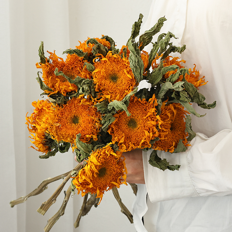 テディひまわりドライフラワーブーケリビングルーム装飾フラワーアレンジメントドライブランチ自然風ドライフラワー不滅の花装飾装飾品