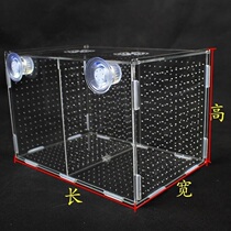 Guppys new extra-large fish tank with lid large and small breeding box turtle partition small fry isolation box fish net