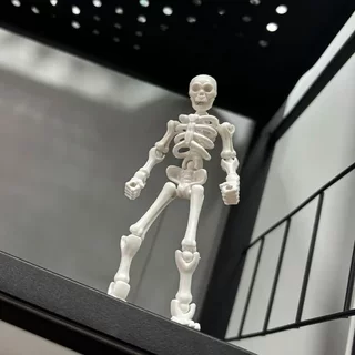 Skeleton movable figure with fully movable joints