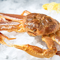Raw frozen Matsuba crab frozen plate crab snow crab extra large crab Russian chilled long-legged crab king crab for restaurant commercial use