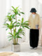 Simulated Green Plants, High-End Light Luxury Brazilian Wood, Large-Scale Simulated Plants, Indoor Living Room Floor-Standing Potted Plants, Decorative Ornaments
