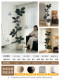 Bionic Green Plant Black Diamond Indoor Living Room Sofa Side High-End Large Floor-Standing Artificial Rubber Tree Fake Flower Decoration