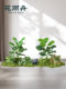 Simulated Green Plants for Landscaping, High-End Light Luxury Decorative Ornaments, Plants, Trees, Indoor Tropical Plants, Floor-Standing Landscape, Fake Potted Plants