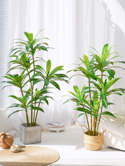 Simulated Green Plants, High-End Light Luxury Brazilian Wood, Large-Scale Simulated Plants, Indoor Living Room Floor-Standing Potted Plants, Decorative Ornaments