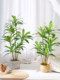 Simulated Green Plants, High-End Light Luxury Brazilian Wood, Large-Scale Simulated Plants, Indoor Living Room Floor-Standing Potted Plants, Decorative Ornaments