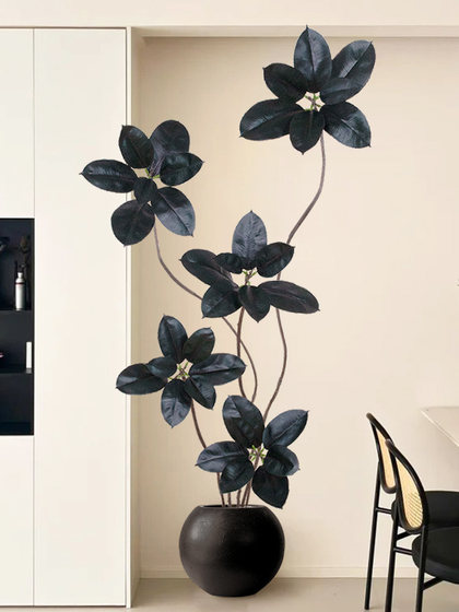 Artificial Green Plant Black Rubber Tree Potted Fake Plant Bionic Living Room Decoration High-End and Elegant Decoration