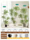 Simulated Green Plant Nandina Bamboo High-End Light Luxury Indoor Living Room Artificial Tree Large Potted Plant Bionic Plant Floor-Standing Decorative Ornament