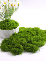 Simulated Moss Turf, Bionic Artificial Fake Moss, Micro-Landscape Arrangement, Green Plant Lawn, Potted Plants, Window Decoration, Landscaping