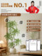 Artificial Green Plant, Nandina Bamboo, Indoor Living Room Sofa Side Fake Plant Decoration Potted Plant, High-End Ornament, Simulated Fake Tree