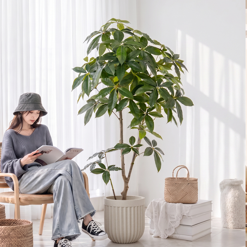 Living Room Balcony Money Tree Green Plant High-End Indoor Home Decoration Potted Plant Light Luxury Artificial Fake Plant Floor-Standing Ornament