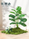 Simulated Green Plants for Landscaping, High-End Light Luxury Decorative Ornaments, Plants, Trees, Indoor Tropical Plants, Floor-Standing Landscape, Fake Potted Plants