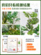 Fake Green Plant Decoration, Simulated Indoor Landscaping, Landscape Combination, Window Display Pieces, High-End Artificial Plants, Floor-Standing Potted Trees