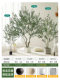 Simulated green olive tree, large floor-to-ceiling artificial tree, high-end light luxury Chinese-style decorative ornaments under the stairs of the indoor entrance hall