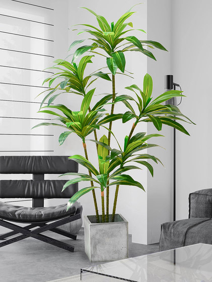 Simulated Green Plants, High-End Light Luxury Brazilian Wood, Large-Scale Simulated Plants, Indoor Living Room Floor-Standing Potted Plants, Decorative Ornaments