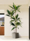 Simulated Green Plant Velvet Indoor Living Room Floor Decoration Fake Plant Potted Tv Cabinet Large Artificial Ornament Tree