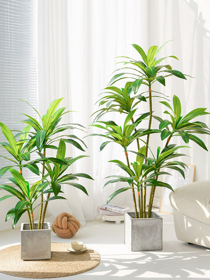 Simulated Green Plants, High-End Light Luxury Brazilian Wood, Large-Scale Simulated Plants, Indoor Living Room Floor-Standing Potted Plants, Decorative Ornaments