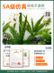 Simulated green plant landscaping combination, high-end large indoor decoration ornaments, advanced bionic plant landscape floor-standing potted plants