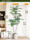 High-End Bionic Green Plant Jacaranda Indoor Living Room Decoration Next to the Tv Cabinet High-Quality Artificial Plant