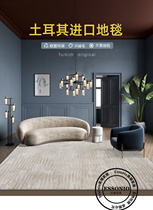 Turkey import Italian Minimalist Rug Color Light Lavish Superior Living Room Bedroom Blanket Thickening of Dirty And Easy To Handle
