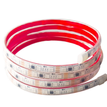 24V solid silicone waterproof magic horse running water underwater outdoor waterproof light strip with colorful RGB running water light strip