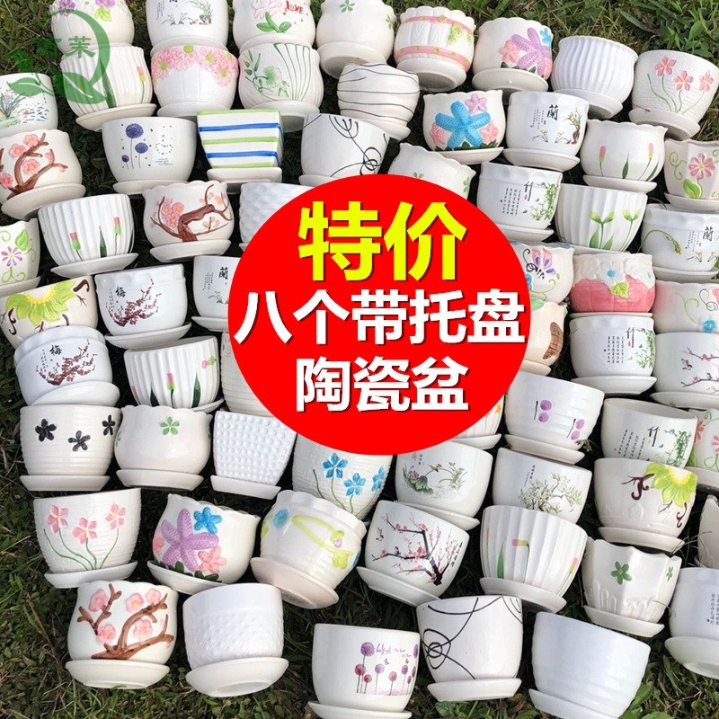 Multi-meat flower pot ceramic special price clear cabin large multi-meat plant depository gold Ge creativity brief large caliber small flower pot