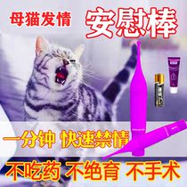 The mother cat comforts the kitty cat with the special electric consolation stick and the consolation toy howling the cat.