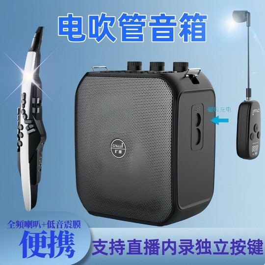 扩威X30电吹管二胡萨克斯无线蓝响牙120W大功率乐器专用户外K歌音